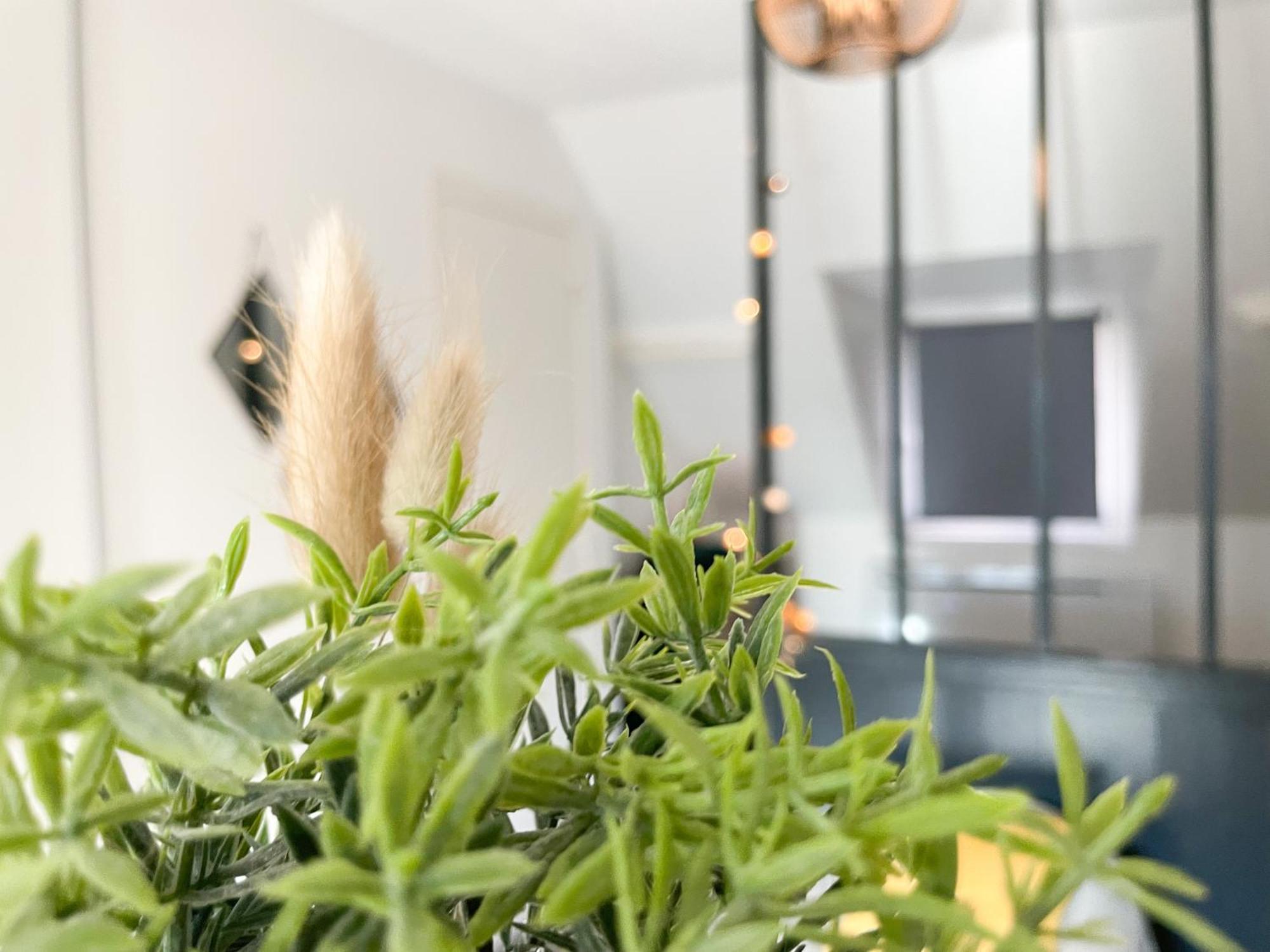 Appartamento Le 12 Bis - Cosy Cherbourg-en-Cotentin Esterno foto